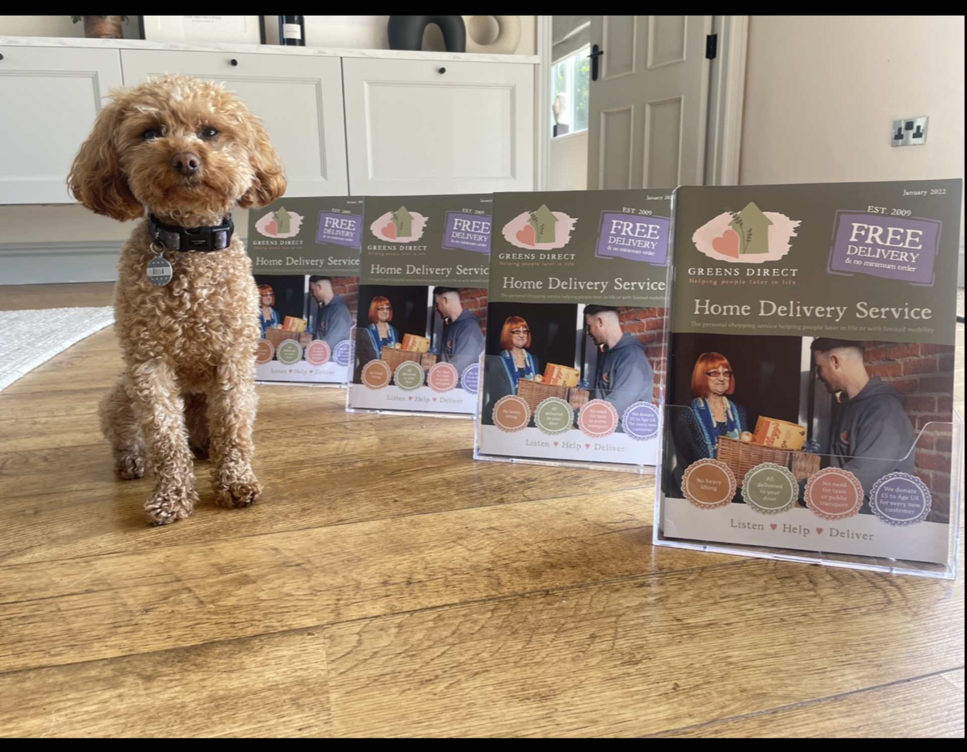 Dog with delivery service brochures