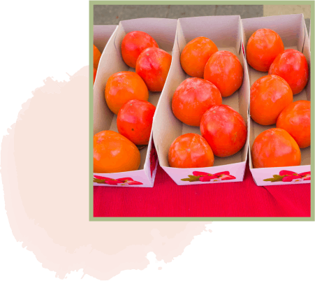 Orange persimmons in boxes